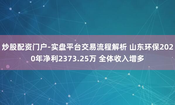 炒股配资门户-实盘平台交易流程解析 山东环保2020年净利2373.25万 全体收入增多