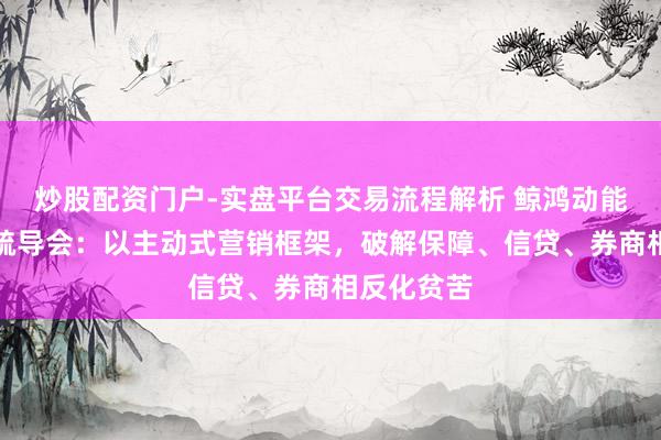 炒股配资门户-实盘平台交易流程解析 鲸鸿动能金融行业疏导会：以主动式营销框架，破解保障、信贷、券商相反化贫苦